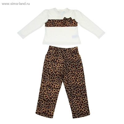 Комплект для девочки "Леопардовый принт": кофта, штанишки, рост 110-116 см (5-6л.), цвет микс 9077CC1484