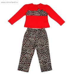 Комплект для девочки "Леопардовый принт": кофта, штанишки, рост 110-116 см (5-6л.), цвет микс 9077CC1484